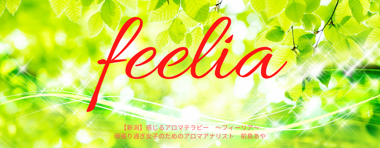 feeliaのブログ